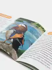 Фиолетовый книжка для детей "Узнаём про всё вокруг"