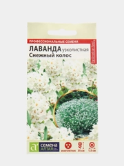 Лаванда Снежный колос (семена,цветы)