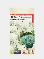 Лаванда Снежный колос (семена,цветы)