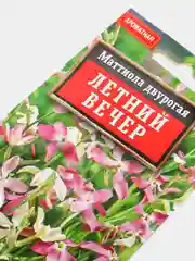 Семена цветы "Маттиола Летний вечер"