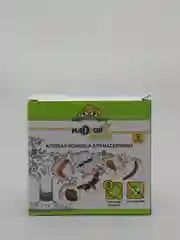 Клеевая ловушка для насекомых "Ловчий пояс"