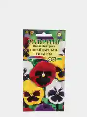 Виола Витрокка Швейцарские гиганты (семена)