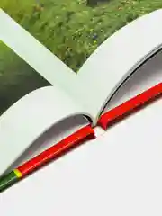 Энциклопедия Проф-Пресс Хочу всё знать. Собаки, 48 стр