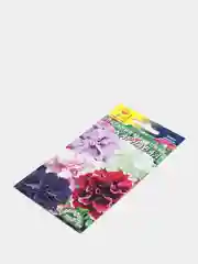 Петуния Карнавал (семена,цветы)