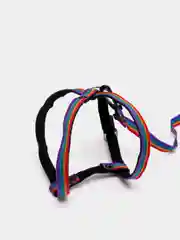 Поводок и шлейка для кошки или маленькой собачки