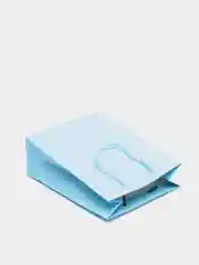 Ледяной подарочный пакет