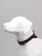 Фиолетовый ошейник бандана для собак и кошек