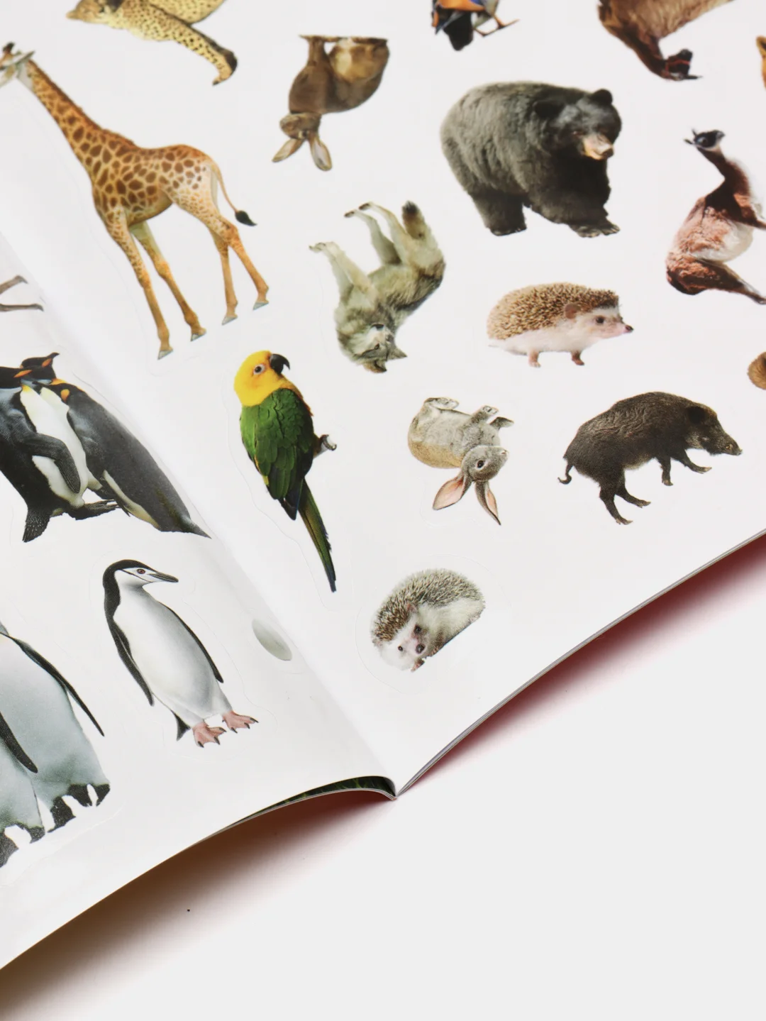 Карамельный книга с наклейками "100 наклеек"