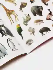 Карамельный книга с наклейками "100 наклеек"