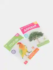 Развивающие карточки по методике Г. Домана