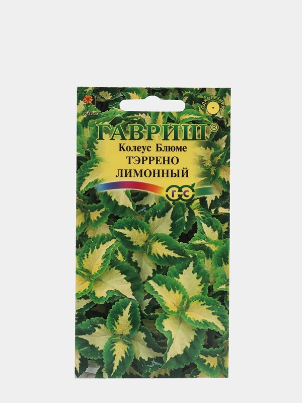 Колеус "Блюме Тэррено лимонный", семена цветов