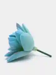 Лавандовый суккуленты