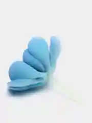 Коралловый суккуленты