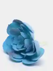 Коралловый суккуленты