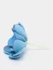 Коралловый суккуленты