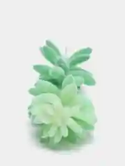 Желтый суккуленты