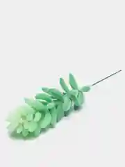 Желтый суккуленты