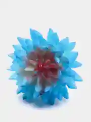 Лазурный суккуленты