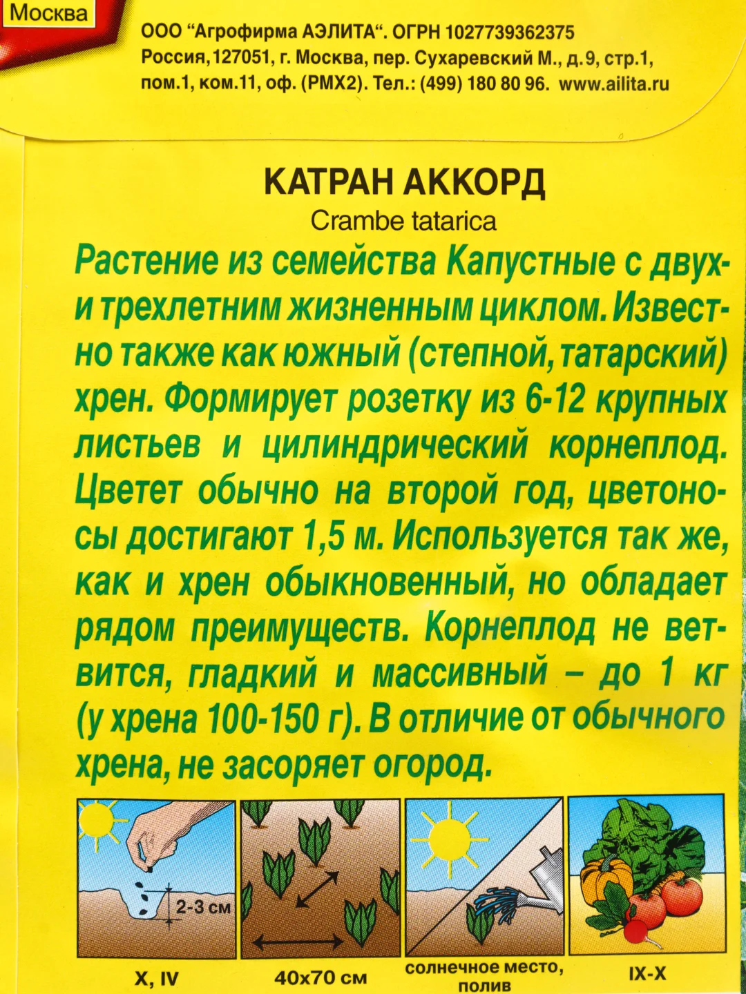 Катран (хрен) "Аккорд", семена Аэлита