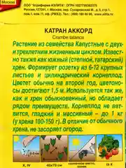 Катран (хрен) "Аккорд", семена Аэлита