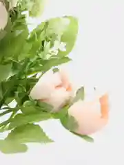 Конфетный ранункулюс букет искусственные цветы, пионы, камелии, розы, осока, растения, зелень