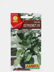 Табак курительный Остролист 316, семена Аэлита