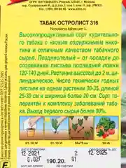 Табак курительный Остролист 316, семена Аэлита