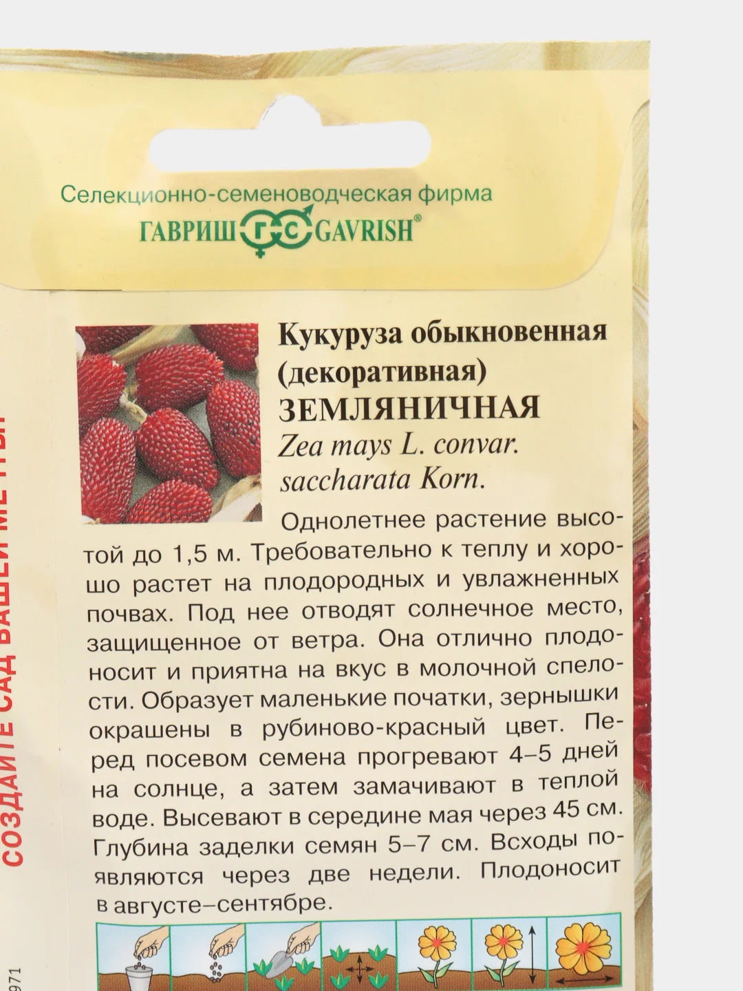 Кукуруза декоративная "Земляничная"