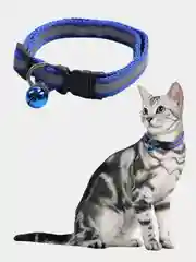 Синий ошейник светоотражающий