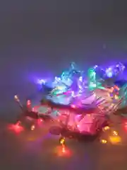 Конфетный гирлянда светодиодная (LED) "Занавес" с контроллером 220В