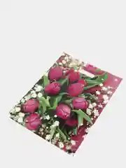 Конфетный пакет подарочный, 30 х 40 см 23 февраля, 8 марта