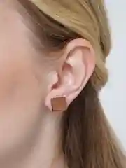 Коричневый серьги гвоздики из дерева