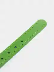 Зеленый ошейник бандана для собак и кошек
