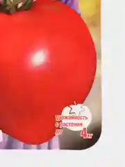 Семена Томат "Лентяйка"