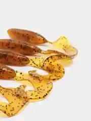 Терракотовый силиконовые приманки ACTION PLASTICS Curl Tail Grub 3