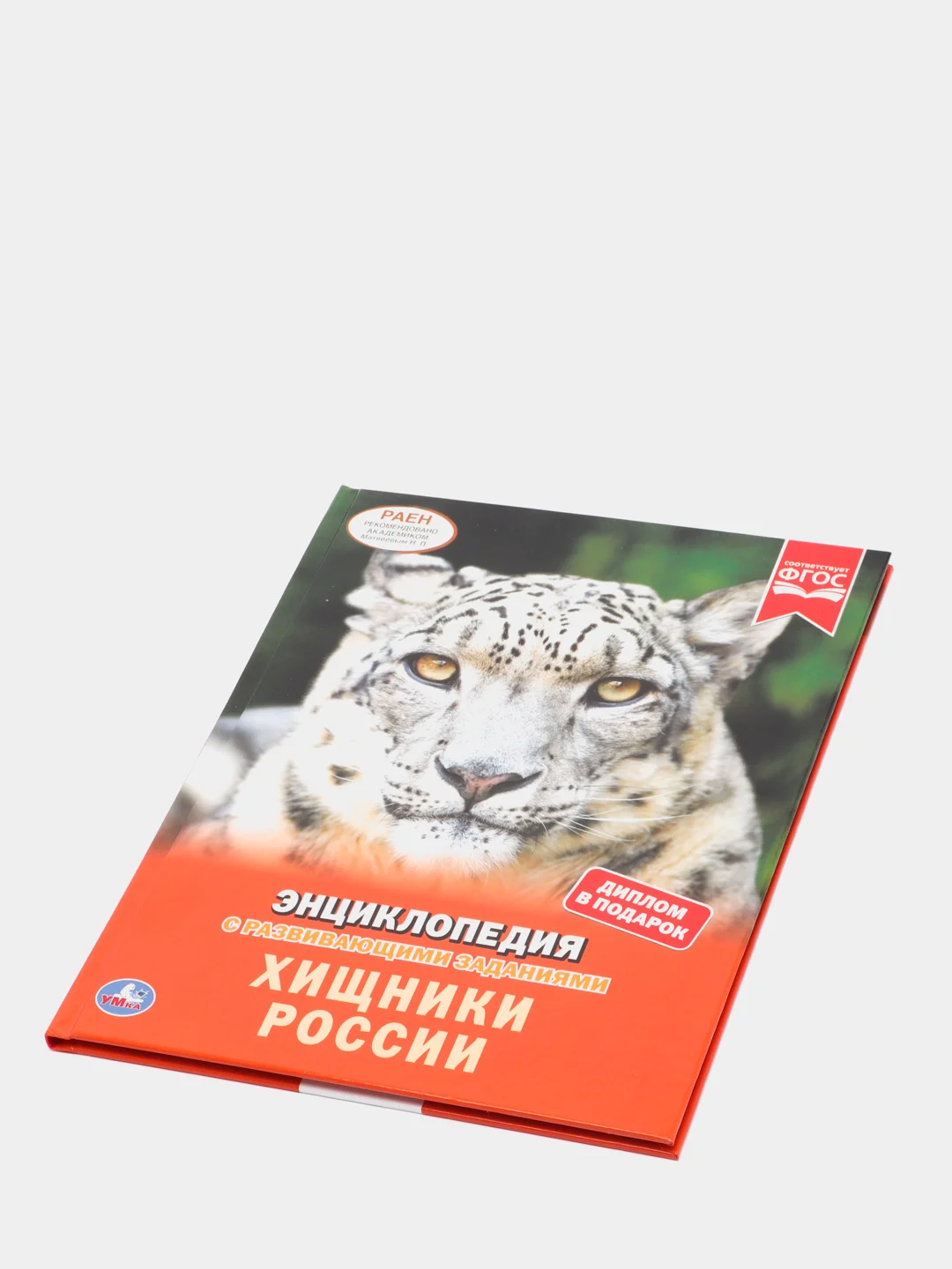 Хищники России. Энциклопедия А4 с развивающими заданиями