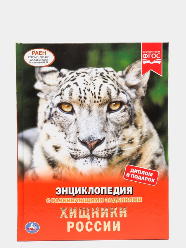 Хищники России. Энциклопедия А4 с развивающими заданиями