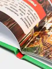 Энциклопедия А4 "Большие рептилии"