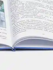 Детская книга "Читаю сам. Сказки Андерсена" 32 стр. Проф-Пресс
