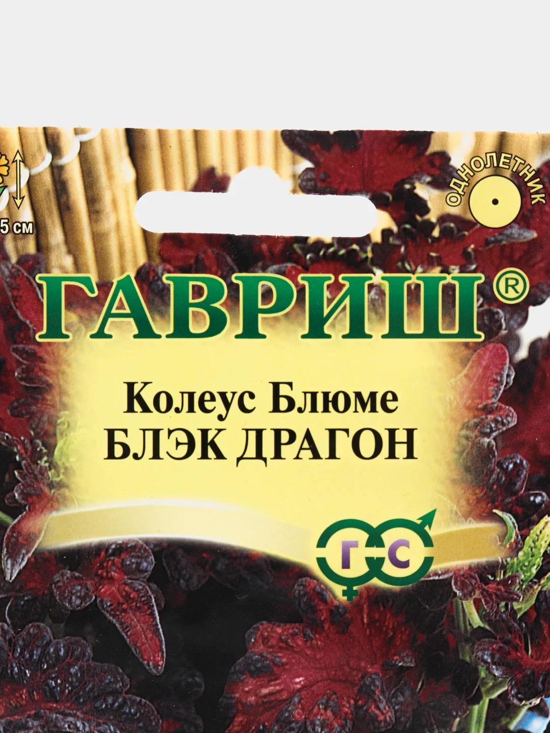 Колеус "Блэк драгон", семена