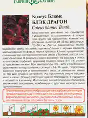 Колеус "Блэк драгон", семена