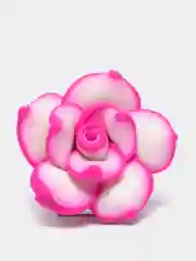 Коралловый меланж кабошон цветы