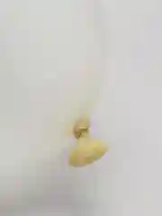 Прозрачный воздушный шарик "Это любовь, детка!"