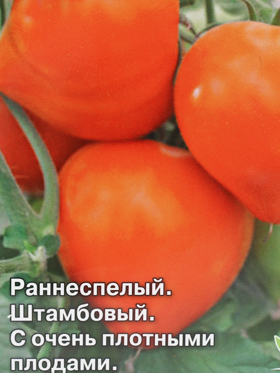 Семена Седек "Томат Непас 4 оранжевый"