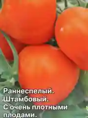 Семена Седек "Томат Непас 4 оранжевый"