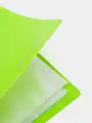 Папка 40 вкладышей BRAUBERG "Neon", 25 мм, неоновая, зеленая