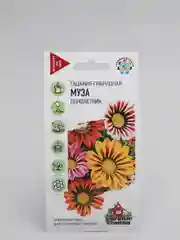 Семена Гацания Муза смесь (удачные семена)