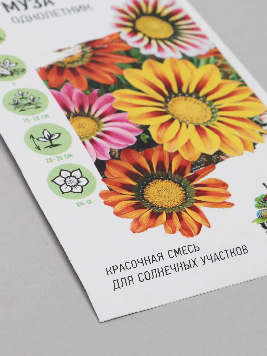 Семена Гацания Муза смесь (удачные семена)