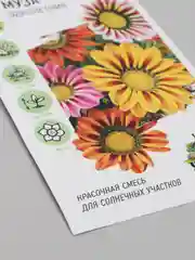 Семена Гацания Муза смесь (удачные семена)