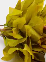 Белый искусственные цветы "Пионы", букет